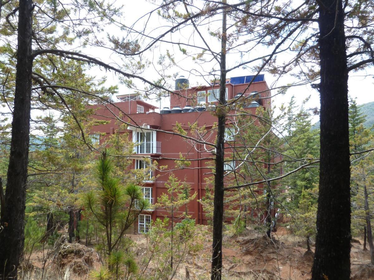 Hotel Gold El Oro de Hidalgo Dış mekan fotoğraf